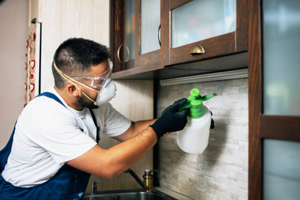 Best Affordable Pest Control Services  in Stockton, MO