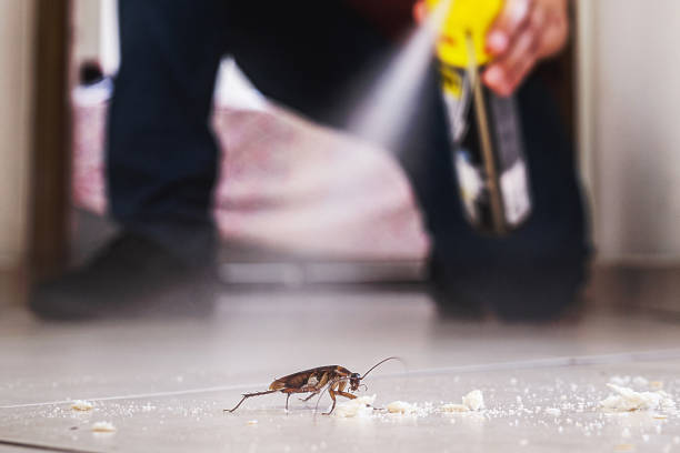 Best Local Pest Control Services  in Stockton, MO