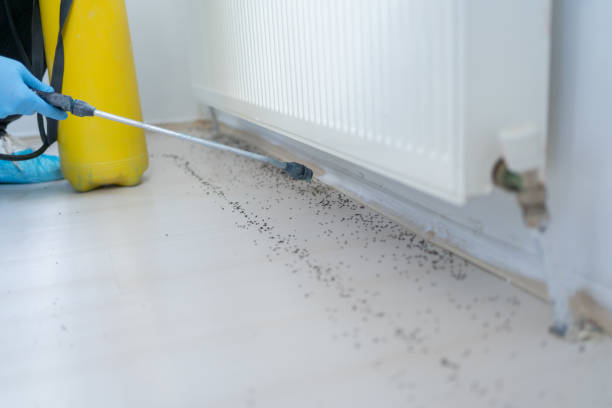 Best Pest Control for Restaurants  in Stockton, MO